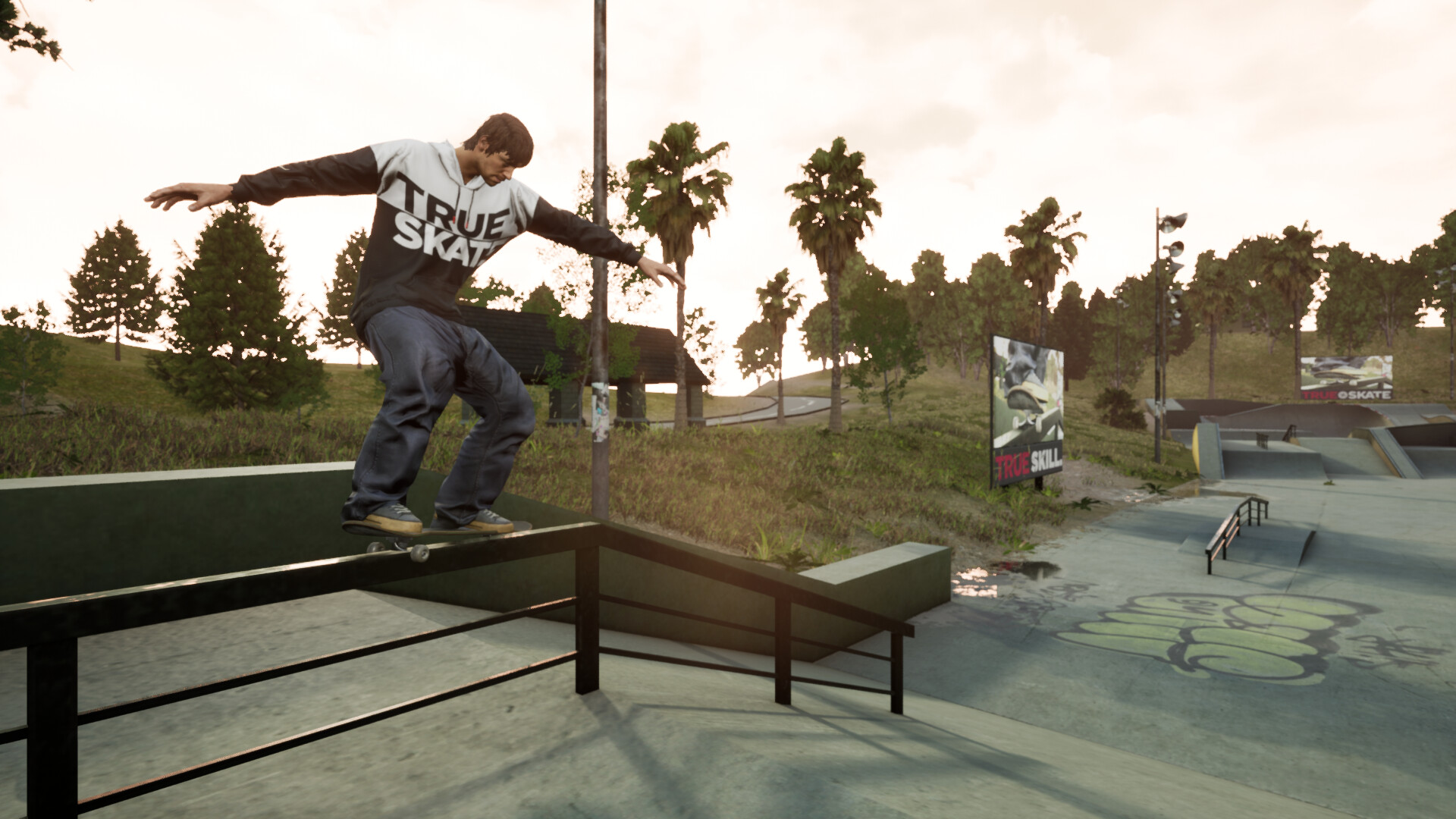 haberler True Skate indir